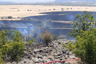 Ankara’da 40 dönüm ekili arazi yandı