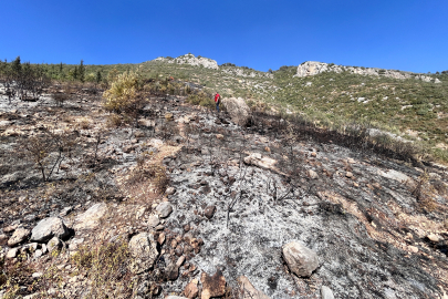 Hatay'da orman yangını kısa sürede kontrol altına alındı