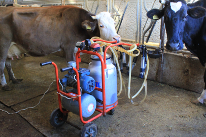 TÜSEDAD çiğ süt için tavsiye fiyatını açıkladı