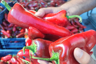Kırmızı biber hasadıyla birlikte salça sezonu da açıldı