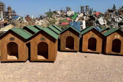 Bandırma Belediyesi'nden sokak hayvanlarına doğal yaşam alanı