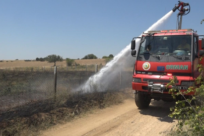 Kırklareli'nde çıkan yangında 20 dekar ceviz bahçesi zarar gördü