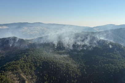 Sındırgı yangını kontrol altında