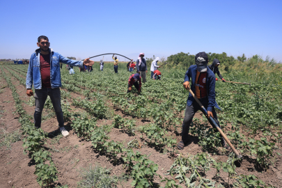 Kavurucu Sıcakta Alın Teri