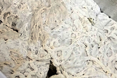 Beyaz Eşyaların İçinde İşkembeli Zula...