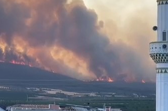 Tekirdağ'daki Orman Yangını Büyüyor