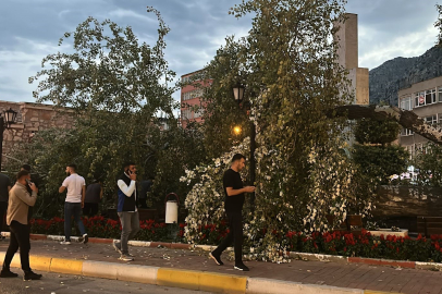 Yayaların yoğun kullandığı noktada devrilen ağacın altına kalan 1 kişi hafif yaralandı