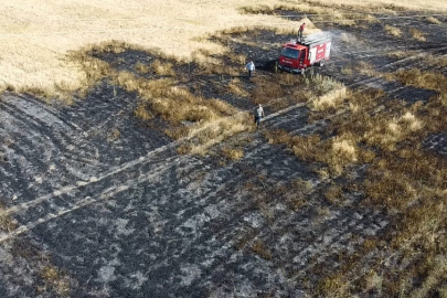 2 Dönümlük Buğday Ekili Alan Küle Döndü