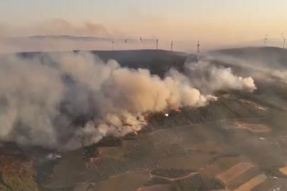 Şarköy'de Orman Yangını Zarara Yol Açtı