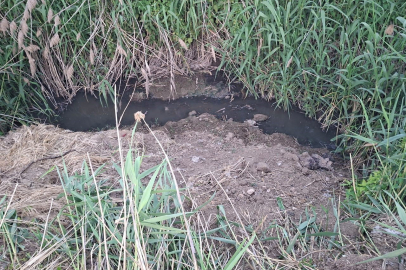 İnegöl'de açıkta akan lağım karıştığı dere, mahalle sakinlerini isyan ettirdi