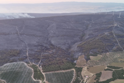 Şarköy’deki Orman Yangını Söndürüldü