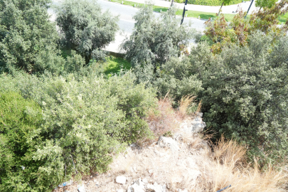 Virajı alamayan 2 çocuk bisikletle 5 metre yükseklikteki varyanttan çalılıklara düştü