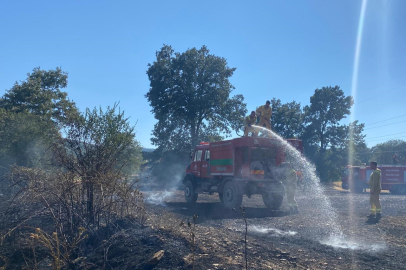 Buğday Tarlasında Başlayan Yangın Ormana Sıçradı!