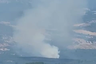 Feci Yangın Panik Yarattı!