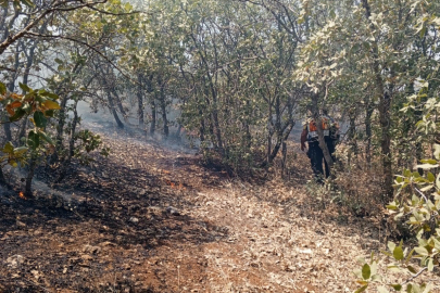 Örtü Yangınına Hızlı Müdahale!