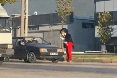 Bursa'da Miki Fare'yi görenler, gözlerine inanamadı