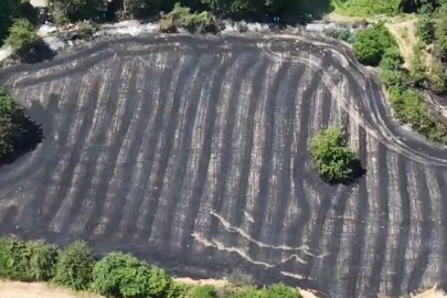 Bursa'da Anız Yangını Kısa Sürede Söndürüldü