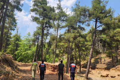 Jandarma Ekipleri Orman Yangınlarına Karşı Önlemlerini Artırarak Devriye Faaliyetlerine Hız Verdi