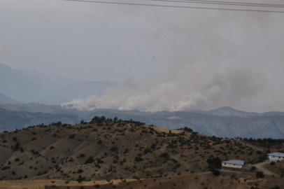 Kahramanmaraş’ta orman yangını