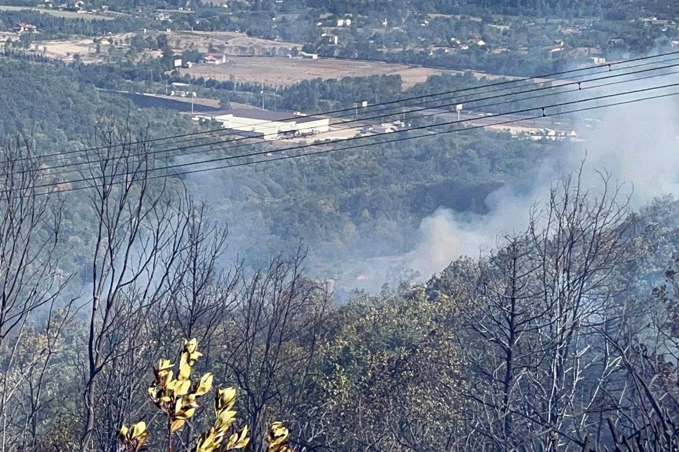 Orman yangınına müdahale sürüyor: Ekiplerin yanı sıra vatandaşlar da seferber oldu