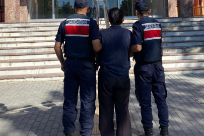 Hapis Cezası İle Aranan Şahıs Jandarmadan Kaçamadı