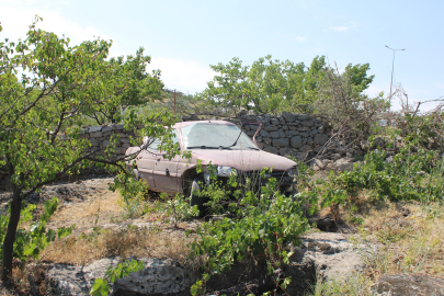 Kimse otomobilin oraya nasıl girdiğini anlamadı