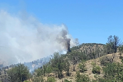 Ankara'da Orman Yangını