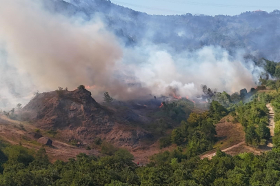 Düzce-Sakarya sınırındaki yangına havadan ve karadan müdahale sürüyor