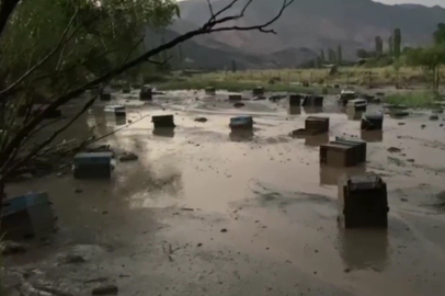 Kars'ta sel felaketi: Arı kovanları sular altında kaldı