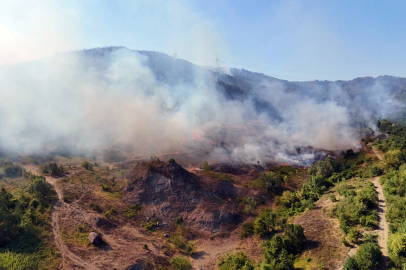 Sakarya-Düzce sınırındaki yangın bölgesi havadan görüntülendi