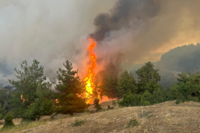 CHP Bursa İl Başkanı Yeşiltaş’tan Harmancık Yangınına Yerinde İnceleme