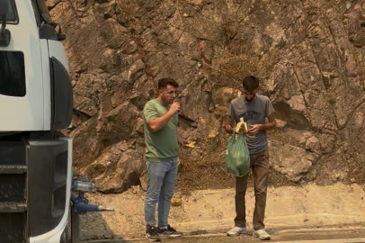 Yangın faciasında çok sayıda gönüllü, canları uğruna alevlerle mücadele etti