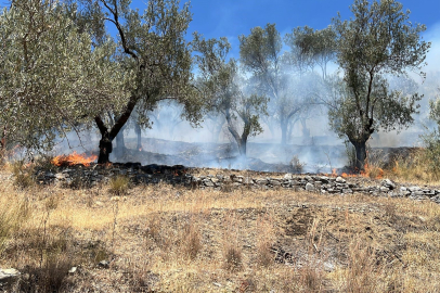 Yangına 2 uçak havadan müdahale etti!