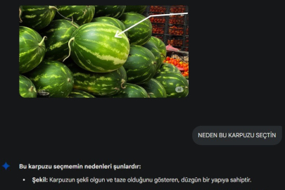 Karpuzu Artık Yapay Zeka Seçiyor