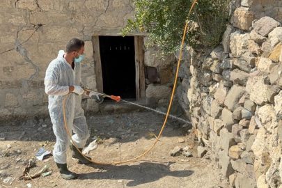 Artan Akrepler Belediye Ekiplerini Harekete Geçirdi!