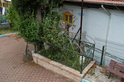Padişahları cihada teşvik eden alimin mezarının hâli, görenleri üzüyor