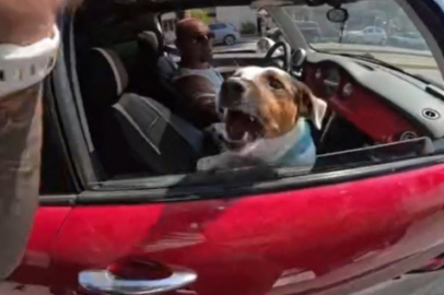 Motosiklet sürücüsü trafikte sevmek istediği köpek tarafından 2 kez ısırılma tehlikesi atlattı