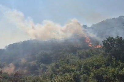 Balıkesir’de otluk ve makilik alanda çıkan yangın kontrol altına alındı
