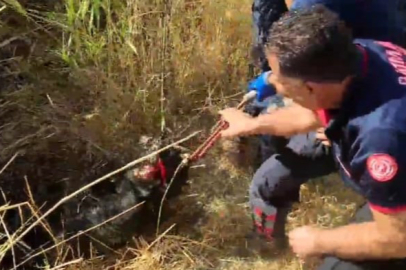 Batman'da Kuyuya Düşen Keçi İtfaiye Ekiplerince Kurtarıldı