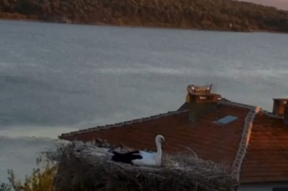 Karaağaç'ta doğanın sessiz uyarısı