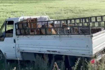 Arı Kovanı Taşıyan Kamyonet Kaza Yaptı