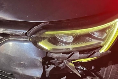 İnegöl'de Yavru Ayı Otomobille Can Verdi