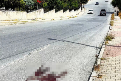 İki Kardeş Arasında Çıkan Tartışma Silahlı Kavgaya Dönüştü: 1 Ölü