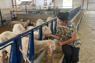 Küçükbaş Hayvancılık İşletmesiyle Girişimcilikte Gençlere Örnek Oldu