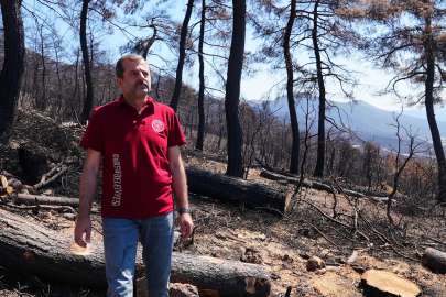 Bursa'da İlk Fidanlar, Yanan Bölgeye Dikilecek