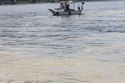 Tarım ve Orman Bakanlığı: "Müsilaj konusunda destekleme yapılması konusunda çalışma içindeyiz"