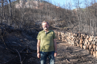 Gürsu’daki orman şehitlerinin adı hatıra ormanında yaşatılacak