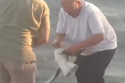 Balık Tutmak İsterken Martı Tuttu