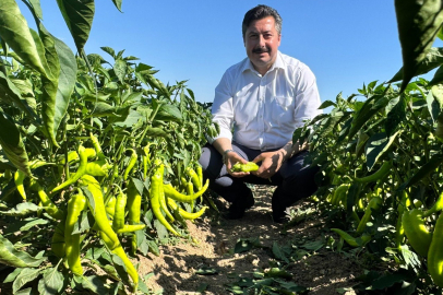 Başkan Özel, Tarım İşçileri Ziyaret Ederek Soğuk Meşrubat İkramında Bulundu