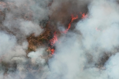 Kocaeli'de Orman Yangını